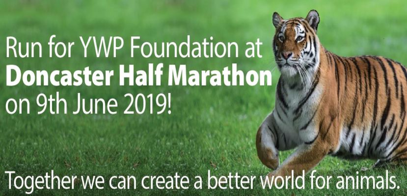 Run for Yorkshire Wildlife Park Foundation at Doncaster Half Marathon